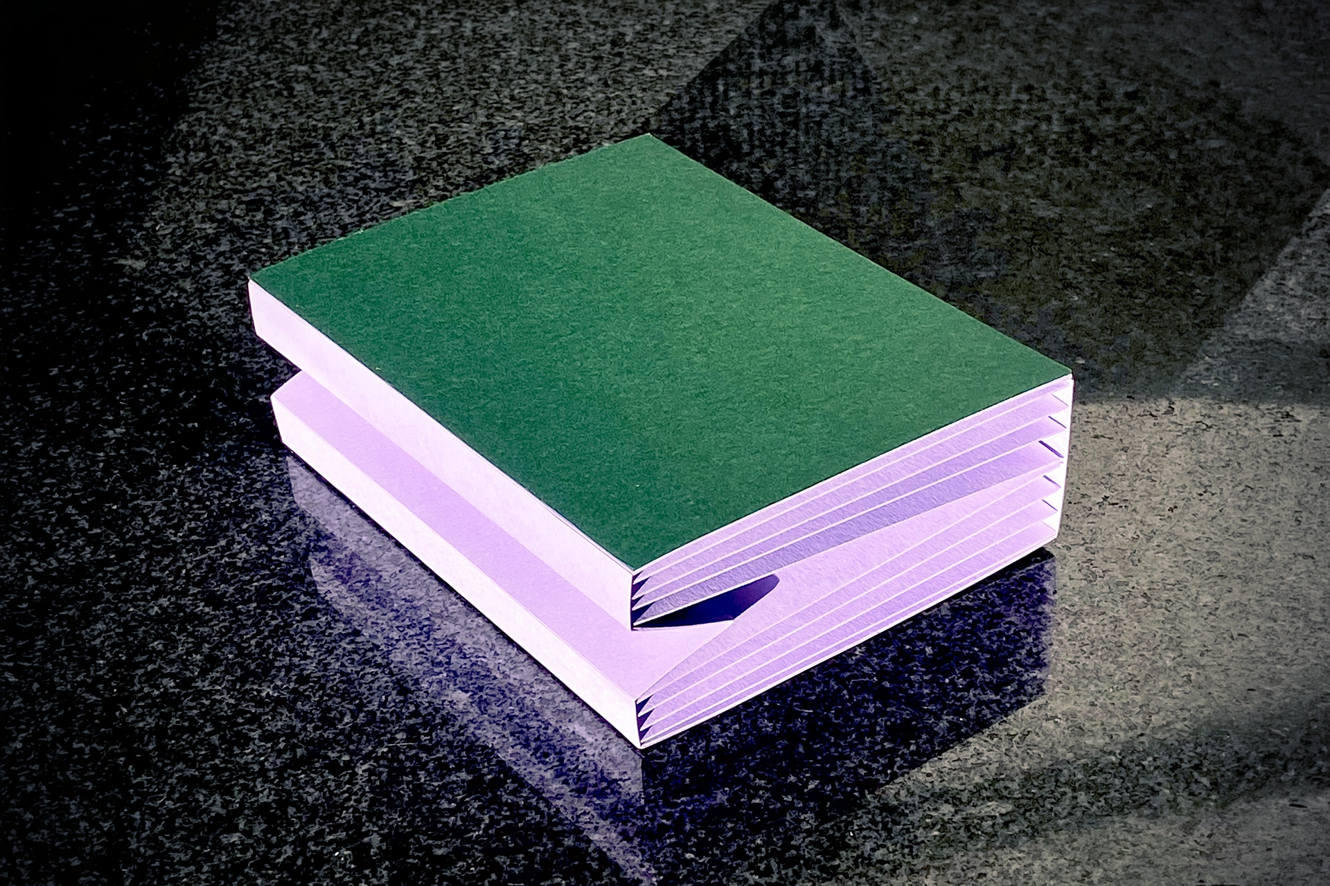 Sponge, Second Edition, 2025